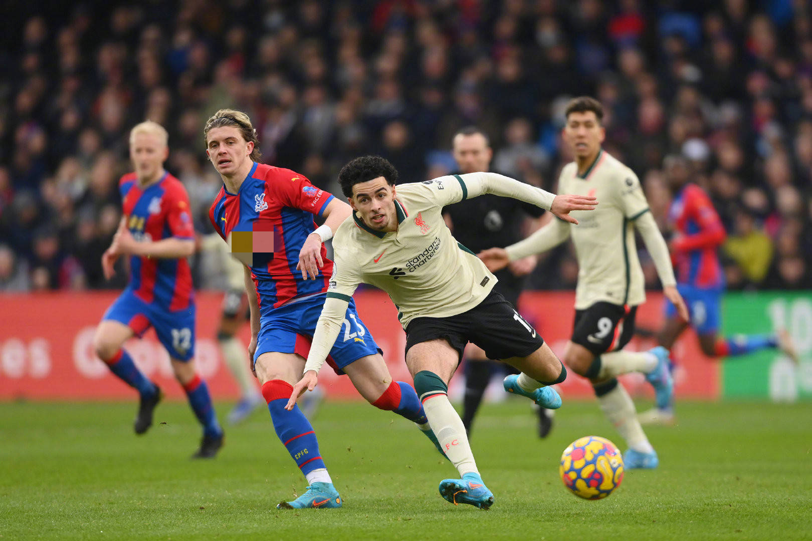 常务会议 常务会议